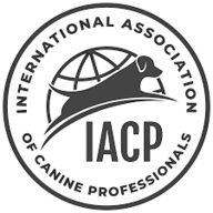 IACP