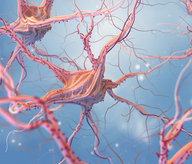 Reduce Sympathetic Overactivation