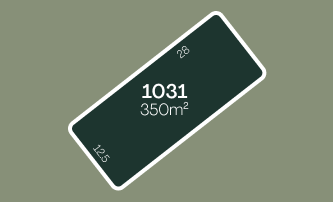 Lot 1031