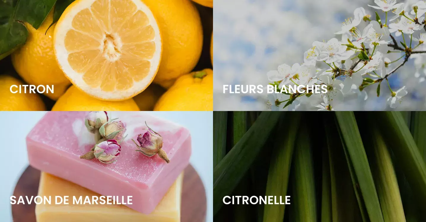 Savon Végétal