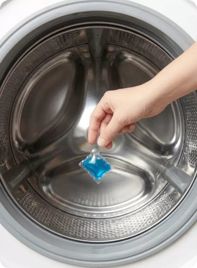 Placer dans le tambour