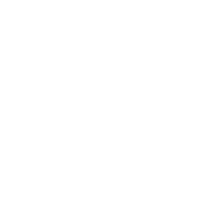 Proven Industry Experience