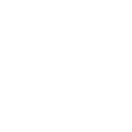 Custom Fit Icon