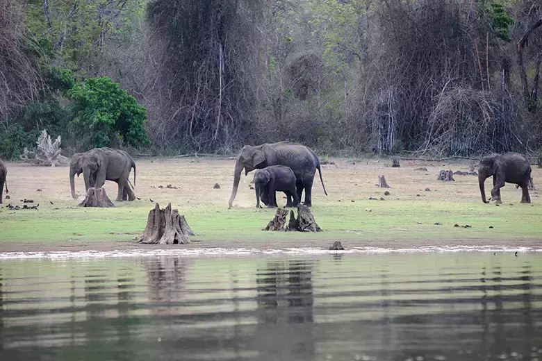 South India In Depth