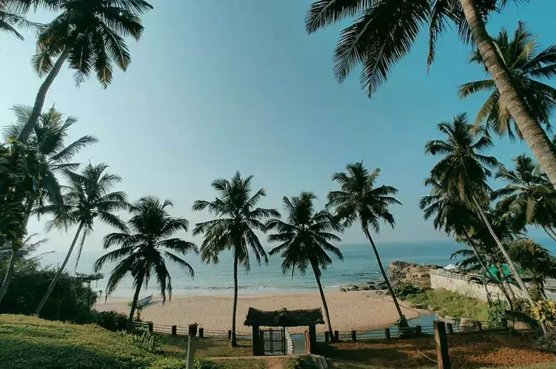 Beaches and Coastline