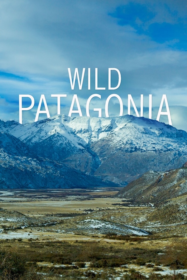 Wild Patagonia