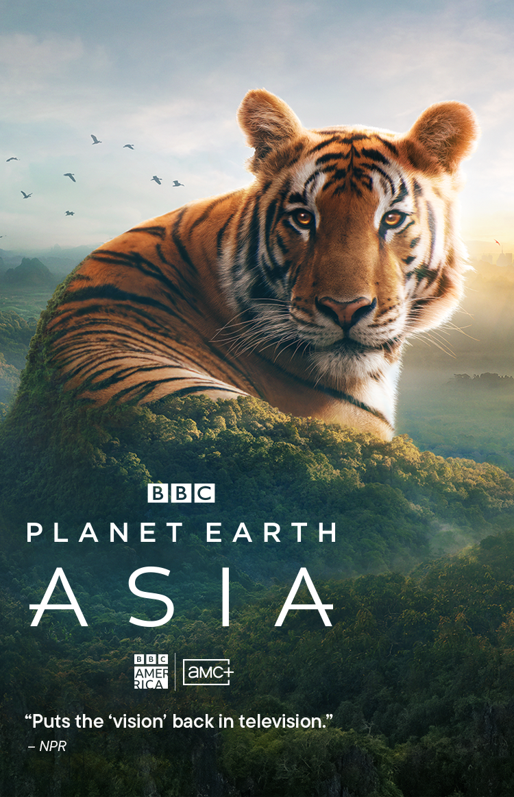Planet Earth: Asia