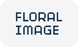 img4