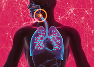 Videocast sobre Terapia de Gênero