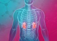 Estudo sobre Obesidade