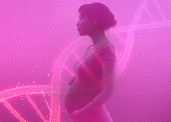 Estudo sobre Obesidade