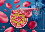 Diretriz sobre Doença Renal